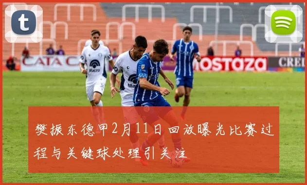 樊振东德甲2月11日回放曝光比赛过程与关键球处理引关注