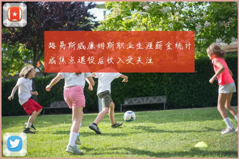路易斯威廉姆斯职业生涯薪金统计成焦点退役后收入受关注