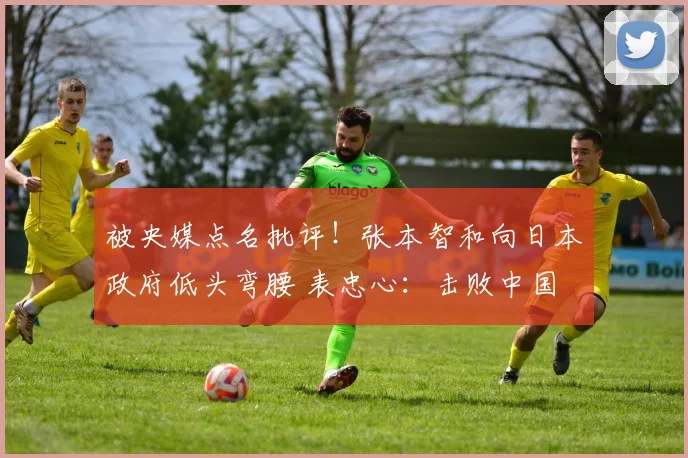 被央媒点名批评！张本智和向日本政府低头弯腰 表忠心：击败中国