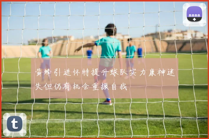黄蜂引进怀特提升球队实力康神迷失但仍有机会重振自我