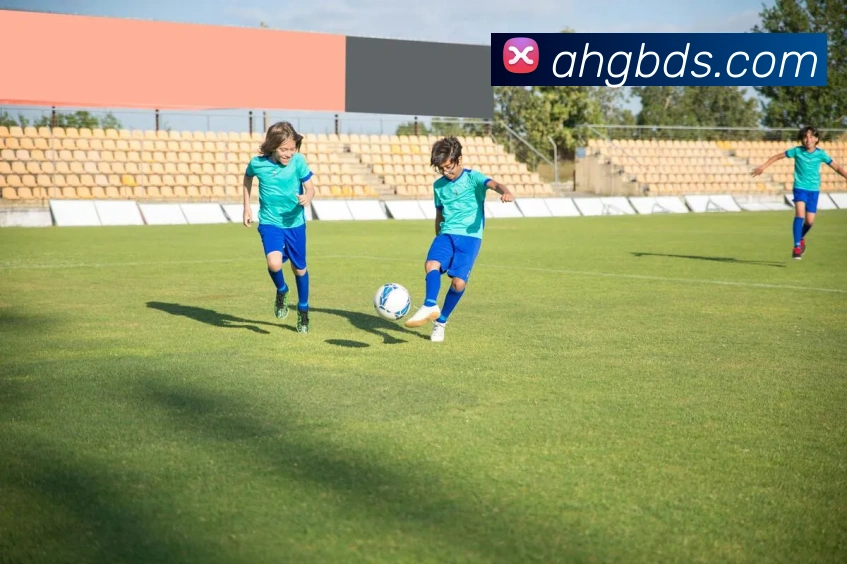 九游体育平台生态图