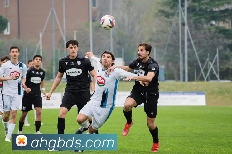 九游体育APP 封面图